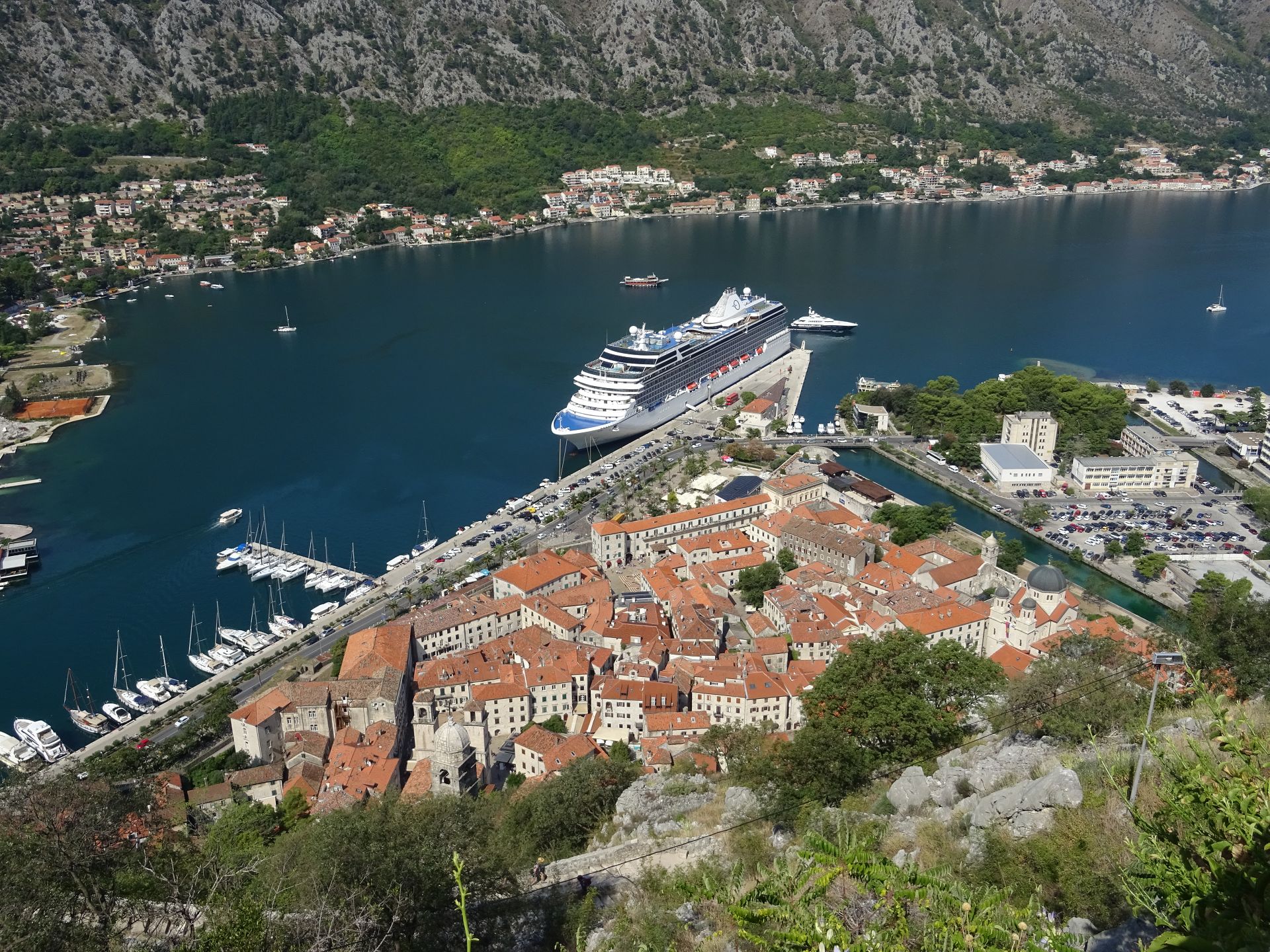 Kotor